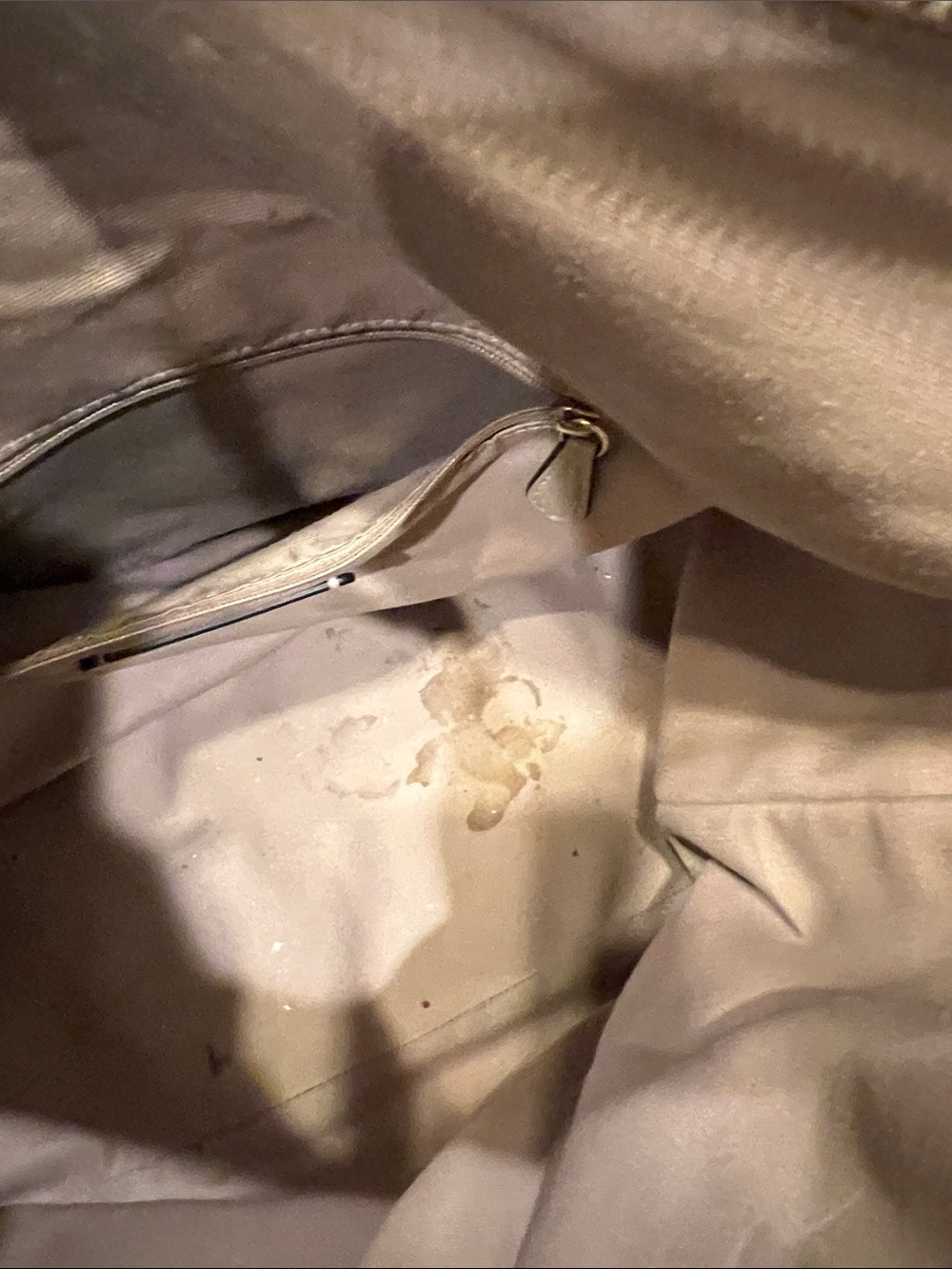 Coach Pebbled Leather Hobo in Off-White with Black Trim - Picture 8 of 9